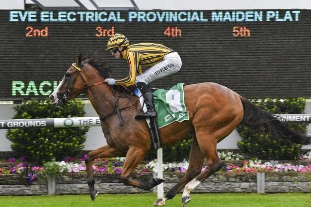 A “CHOICE” VICTORY AT GOSFORD INSTEAD