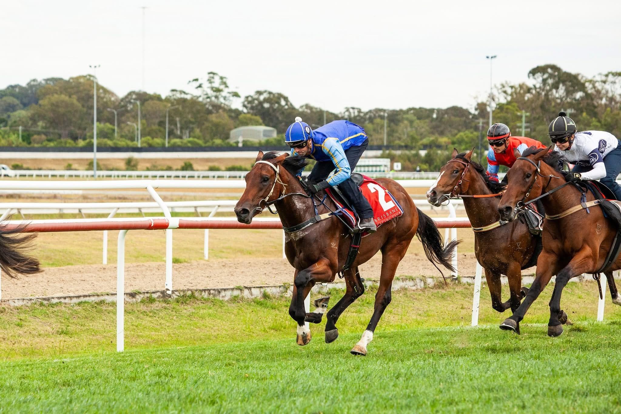 Picture of the author