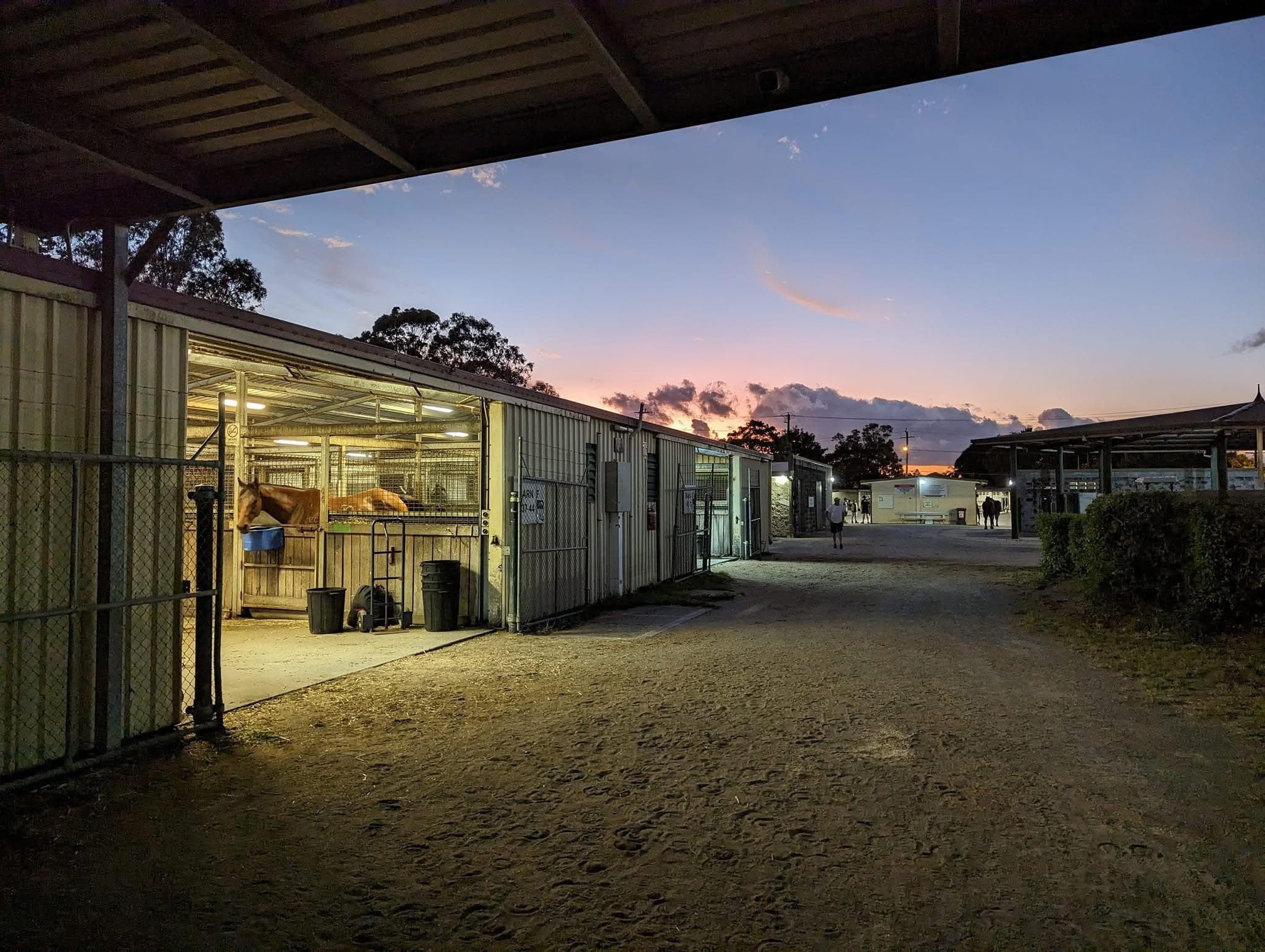 Picture of the author