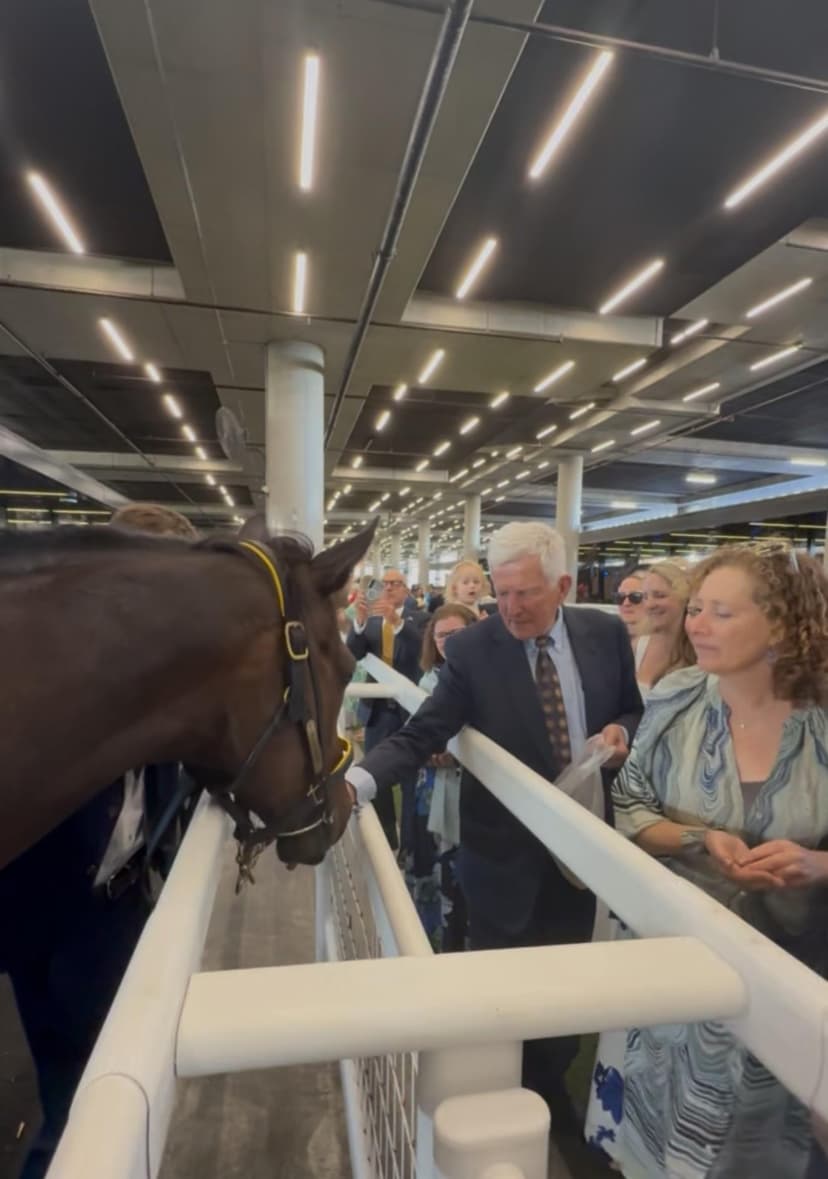 Picture of the author