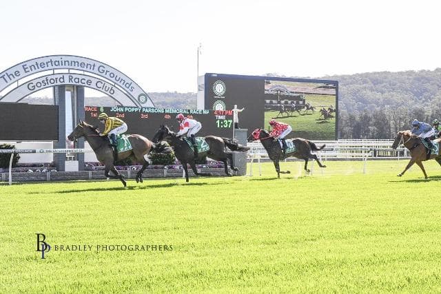 PERTH “CHEAPIE” BLOSSOMS AT GOSFORD