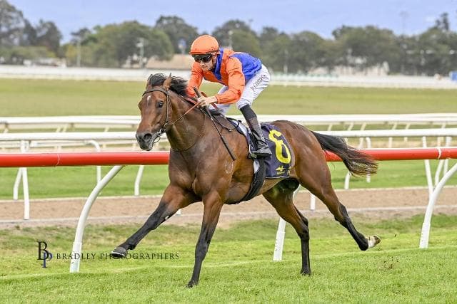 YOUNG MISTER GRACE READY FOR CITY DEBUT