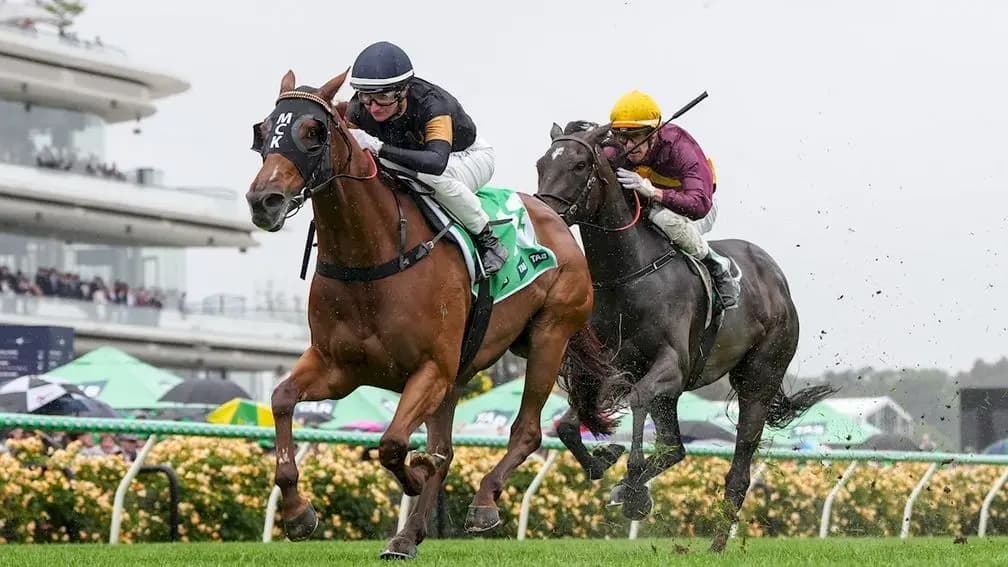 BRAD RETURNS TO FLEMINGTON WITH BRILLIANT GROUP 2 WINNER