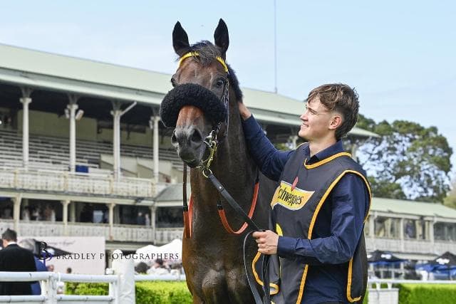 BRAD’S JEDIBEEL INTO THE EVEREST