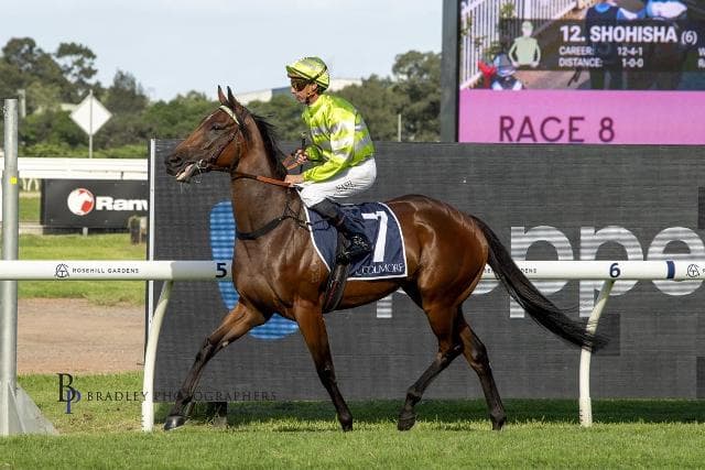 BRAD’S WEEKEND TILTS AT ANOTHER GROUP 1 & PMC QUALIFIER