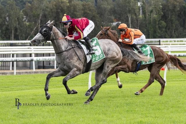 FILLIES GIVE BRAD 100 PER CENT GOSFORD RESULT