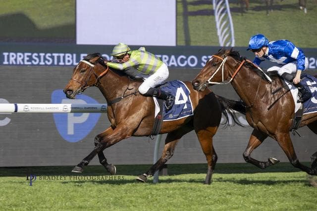 SAVVY’S BACK – NOW FOR A GROUP 1 MISSION