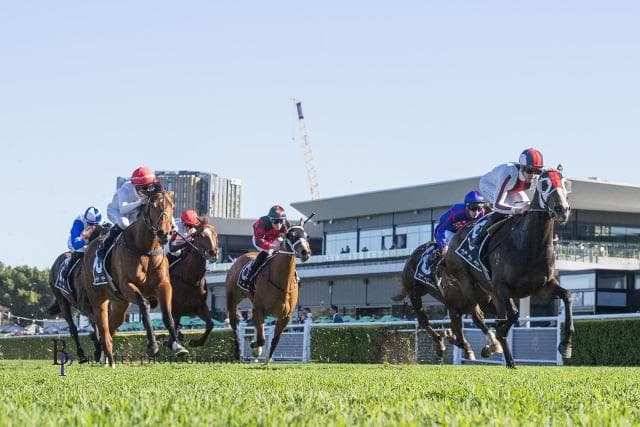 BRAD’S LATEST STAR MAKES IT FOUR IN A ROW